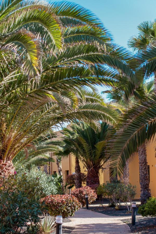 Fuerteventurapartments コラレホ エクステリア 写真